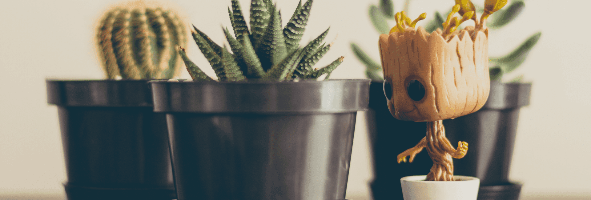 bandeau cadeau geek st valentin