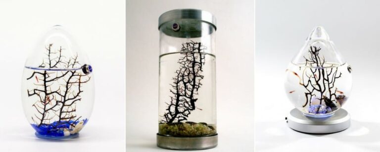 biosphere-crevette