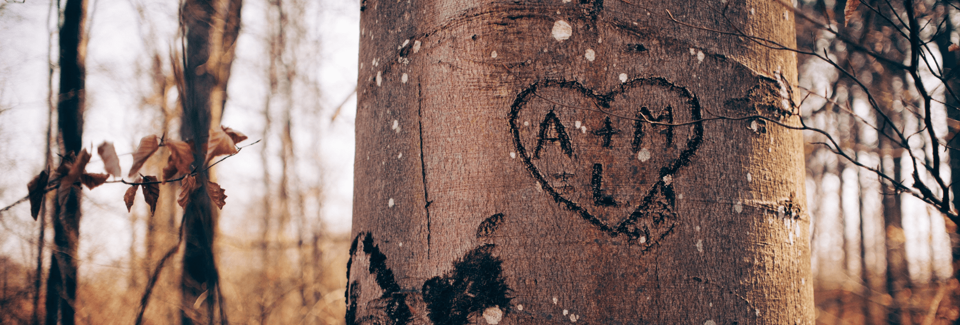 déclaration d'amour originale sur un arbre avec initiales gravés d'amoureux