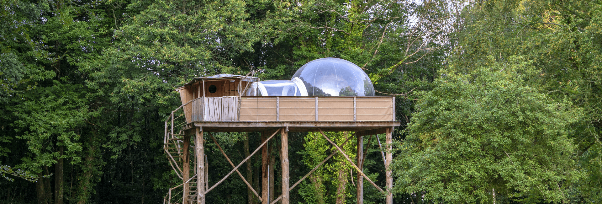 hotel bulle sur une cabane dans les arbres