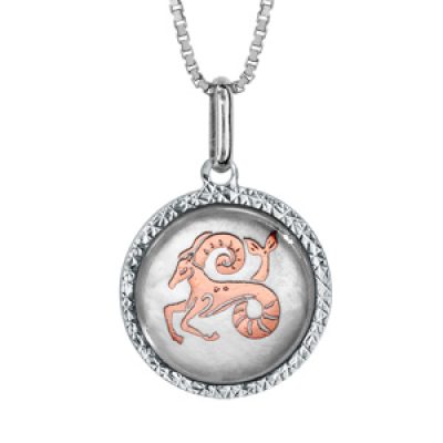 Collier en argent rhodié pendentif rond nacre blanche véritable zodiaque capricorne dorure rose 42cm + 3cm
