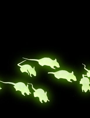 12 Rats noirs et phosphorescents 4 cm Halloween