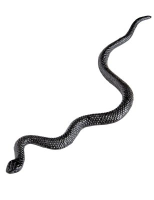12 Serpents 12 cm