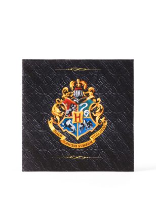 20 Serviettes en papier Harry Potter 33x 33 cm