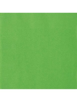 20 Serviettes en papier vert citron 33 x 33 cm