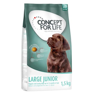 Concept for Life Large Junior - 6 kg (4 x 1