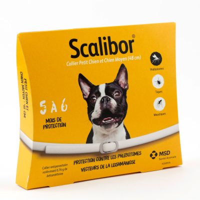 Scalibor® Collier antiparasitaire - 1 collier petit chien et chien moyen