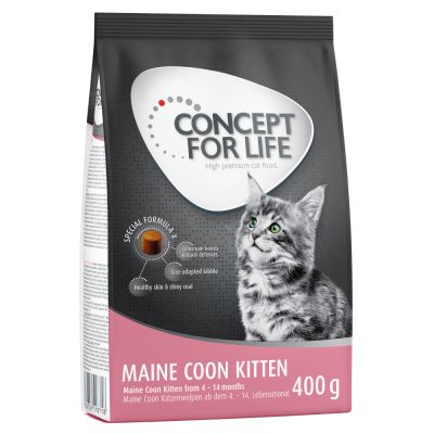 Concept for Life Maine Coon Kitten pour chaton - 400 g