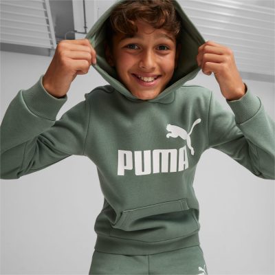 PUMA Sweatà capuche Essentials Big Logo enfant et adolescent pour Homme