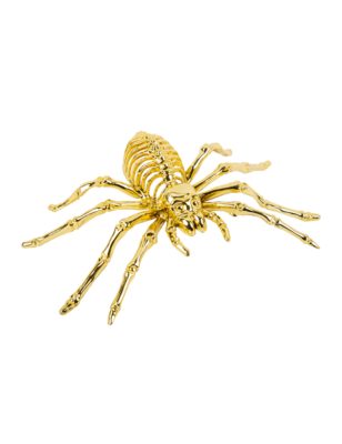 Araignée squelette dorée 12