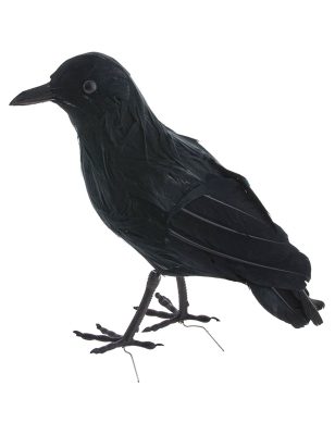 Corbeau plumes noires 20 cm