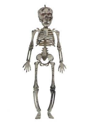 Décoration à suspendre squelette 30 cm
