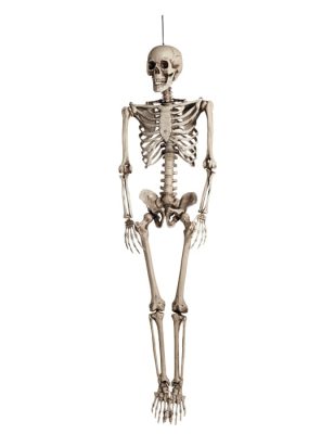Décoration à suspendre squelette taille humaine 160 cm