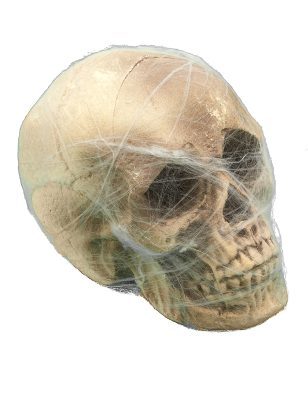 Décoration crâne avec toile d'araignée