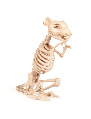 Décoration rat squelette Halloween