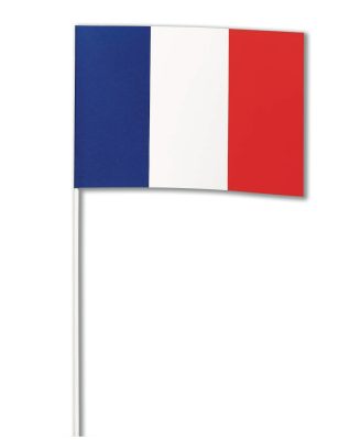 Drapeau papier France 14 x 21 cm