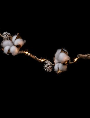 Guirlande lumineuse fleurs de coton 190 cm