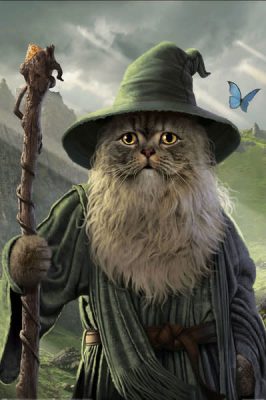 Pyramid International Lord of The Rings: Catdalf - Maxi Poster