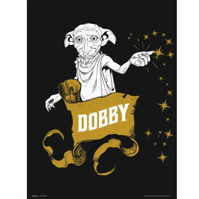 Art Print 30x40 Cm Harry Potter Dobby