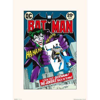 DCCOMICS DC Comics Batman 251 Print