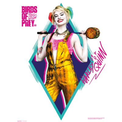 DCCOMICS Birds of Prey Harley Quinn Print