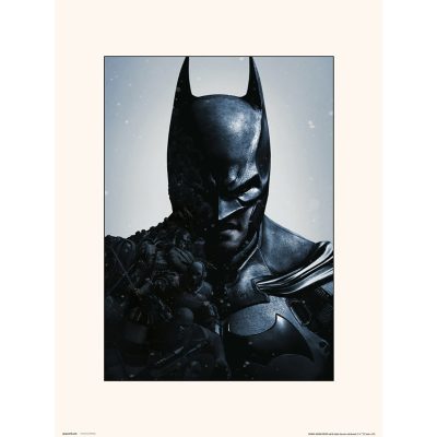 DCCOMICS DC Comics: Batman Arkham Origins Print