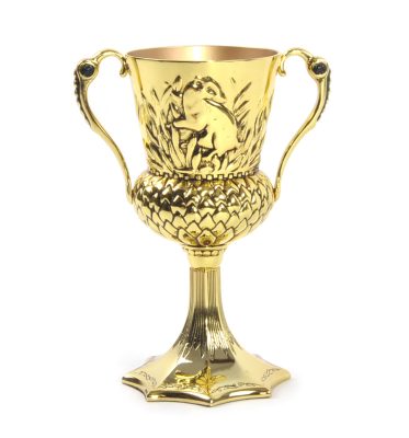The Noble Collection Harry Potter Replica The Hufflepuff Cup