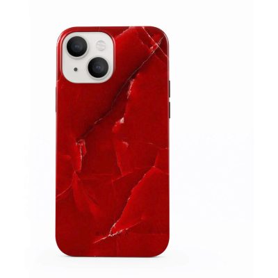 Burga Tough - Coque Apple iPhone 13 Coque Arrière Rigide Antichoc - Wild Blaze