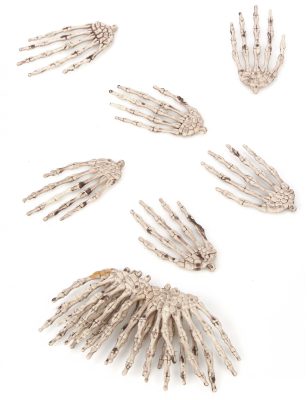 Lot de 12 mains de squelette Halloween