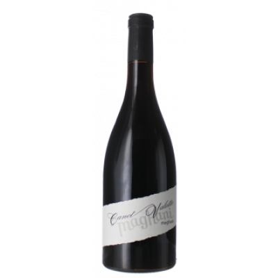 MAGHANI 2018 - DOMAINE CANET VALETTE