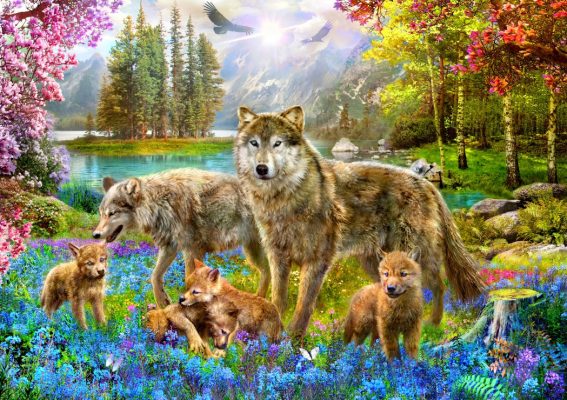 Puzzle Spring Wolf Family Bluebird Puzzle