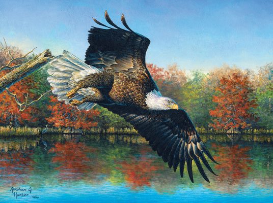 Puzzle Abraham Hunter - Wetlands Eagle SunsOut