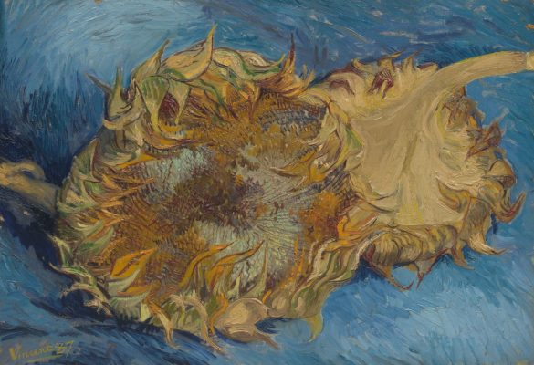 Puzzle Pièces XXL - Van Gogh Vincent : Tournesols