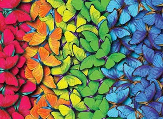 Puzzle Papillons Multicolores Nova Puzzle