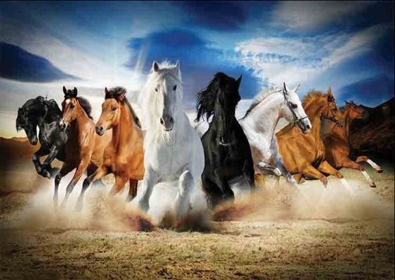 Puzzle Full Speed Gallop Gold Puzzle