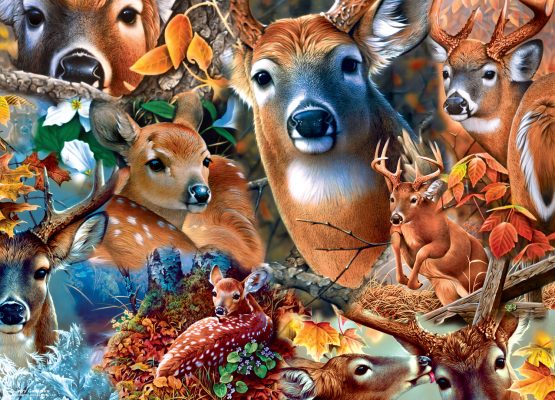 Puzzle Forest Beauties Master Pieces