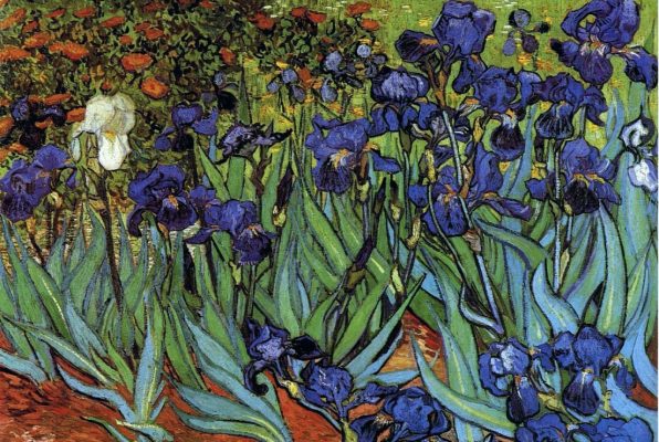 Puzzle Van Gogh Vincent : Les Iris