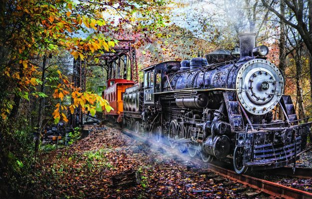 Puzzle Celebrate Life Gallery - Train's Coming SunsOut