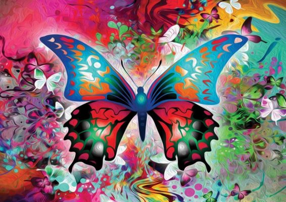 Puzzle Papillon Coloré Nova Puzzle