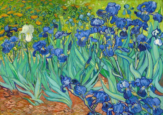 Puzzle Vincent Van Gogh : Iris Enjoy Puzzle