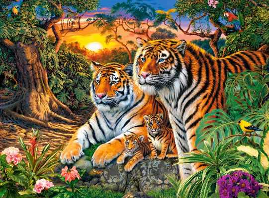 Puzzle Famille de Tigres Castorland