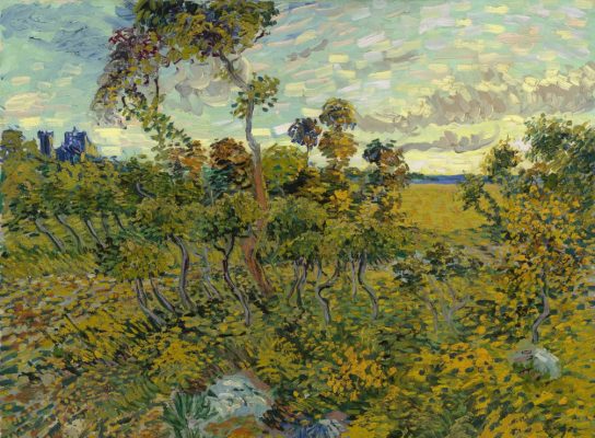 Puzzle Van Gogh Vincent : Coucher de Soleil à Montmajour
