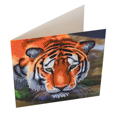 Puzzle Crystal Art - Kit Broderie Diamant - Tigre