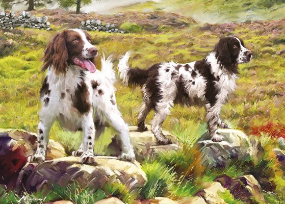 Puzzle Spaniel on Moor Otter House Puzzle