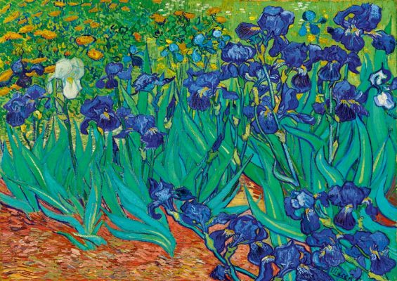 Puzzle Vincent Van Gogh - Irises