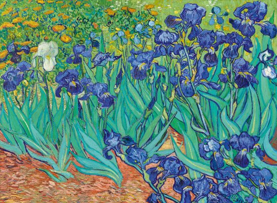 Puzzle Vincent Van Gogh - Les Iris