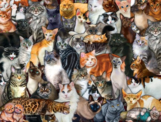 Puzzle Pièces XXL - Cat Collage SunsOut