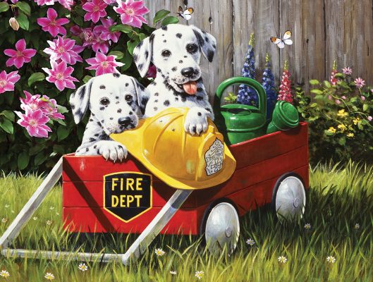 Puzzle Kevin Walsh - Fire Waggin' SunsOut