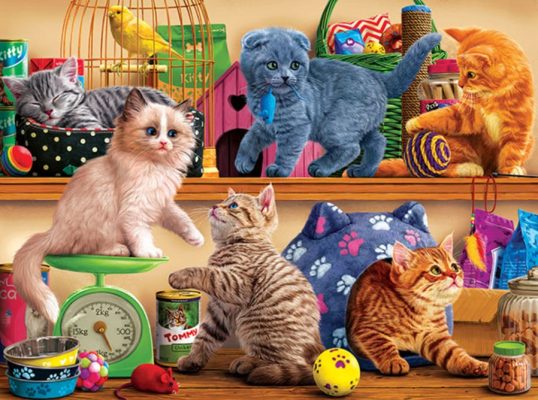 Puzzle Pet Shop Kittens SunsOut