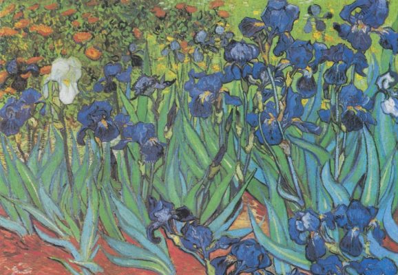Puzzle Van Gogh Vincent - Saint-Remy - Les Iris